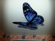 Бабочка на глянцевом потолке