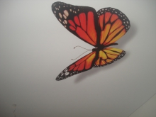 Глянцевый натяжной потолок с фотопечатью «бабочка» 