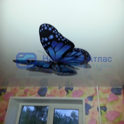 Бабочка на глянцевом потолке